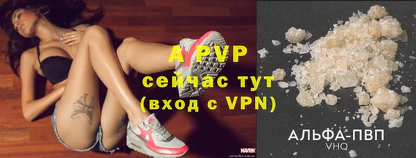 стафф Карпинск