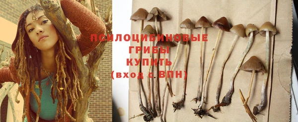 apvp Карталы