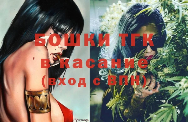 стафф Карпинск