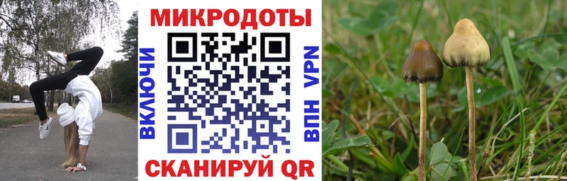 Псилоцибиновые грибы мухоморы  Кумертау 